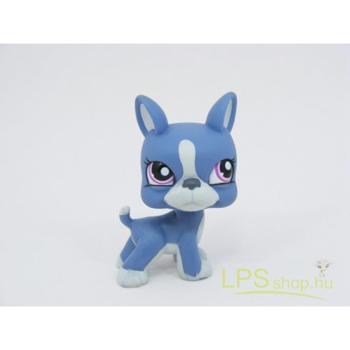 LPS - Littlest Pet Shop - Boston terrier