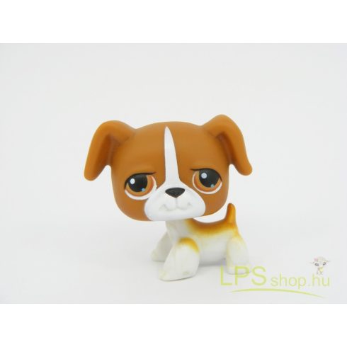 LPS - Littlest Pet Shop - Bokszer