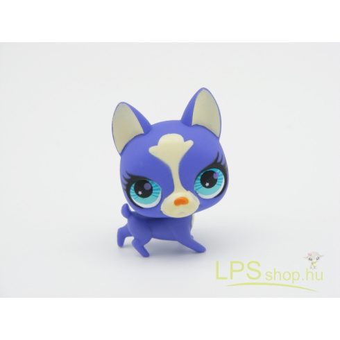 LPS - Littlest Pet Shop - Boston terrier