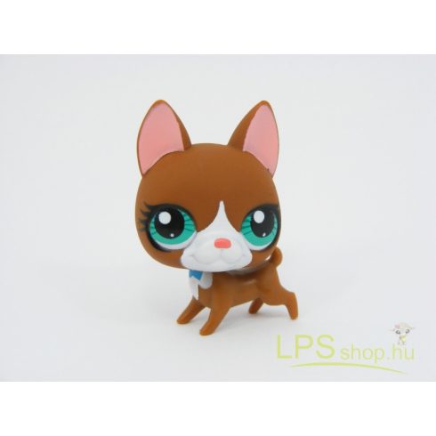 LPS - Littlest Pet Shop - Boston terrier