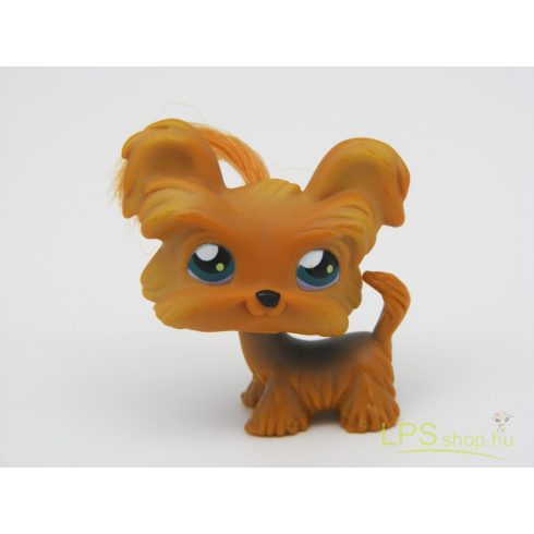 LPS - Littlest Pet Shop - Shih-tzu (oroszlánkutya)