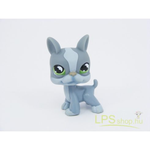 LPS - Littlest Pet Shop - Boston terrier