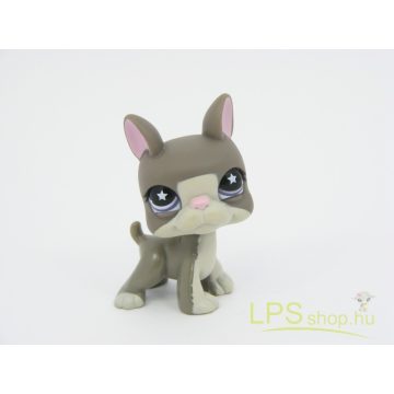 LPS - Littlest Pet Shop - Boston terrier