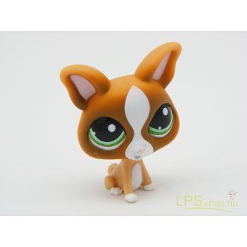 LPS - Littlest Pet Shop – Csivava – Értékcsökkent!