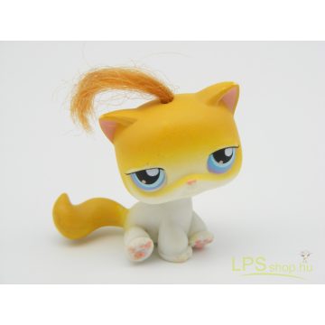 LPS - Littlest Pet Shop - Rövid szőrű cica – Értékcsökkent!