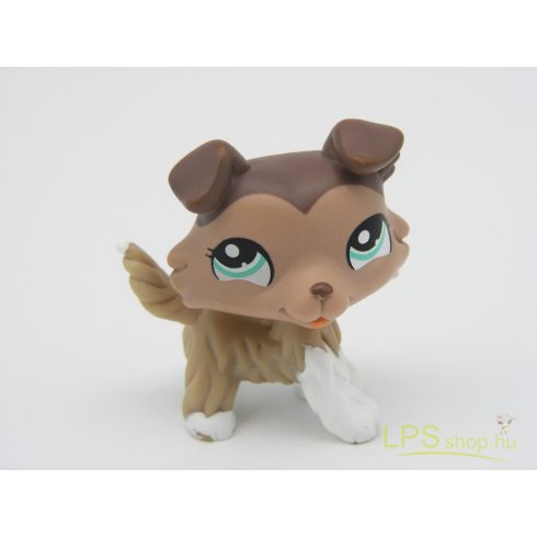 LPS - Littlest Pet Shop – Collie – Hamis!